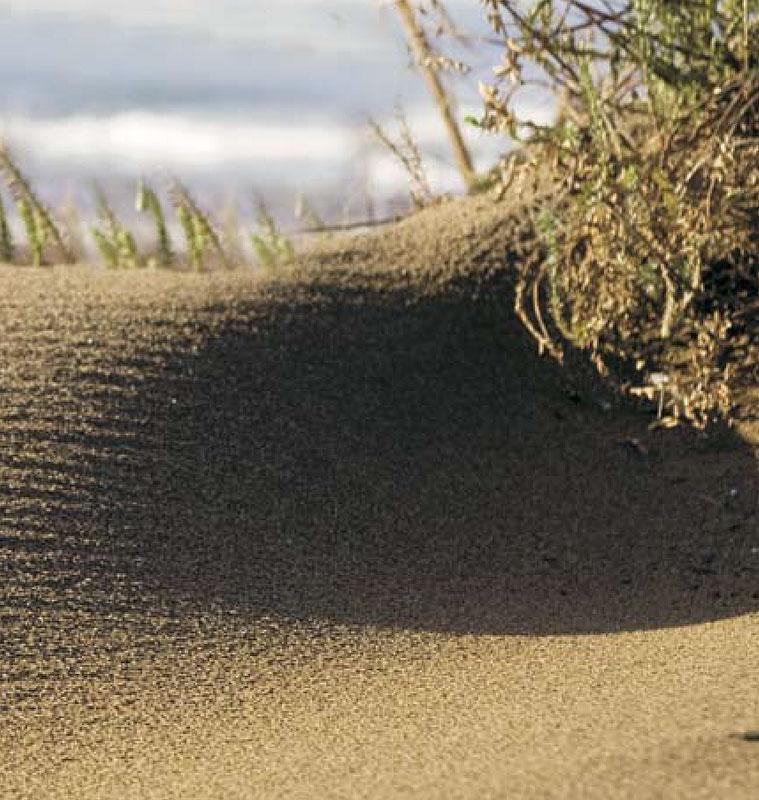 dunas-playa-de-la-arena-zierbena